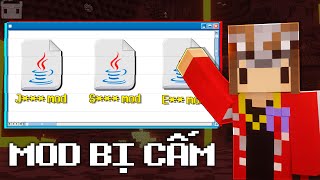 Đằng Sau Những Mods Bị CẤM Của Minecraft