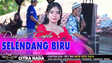 SELENDANG BIRU ~ LELA MONIKA // CITRA NADA LIVE DESA CIBUNIWANGI // KEC.BANJARHARJO - KAB.BREBES