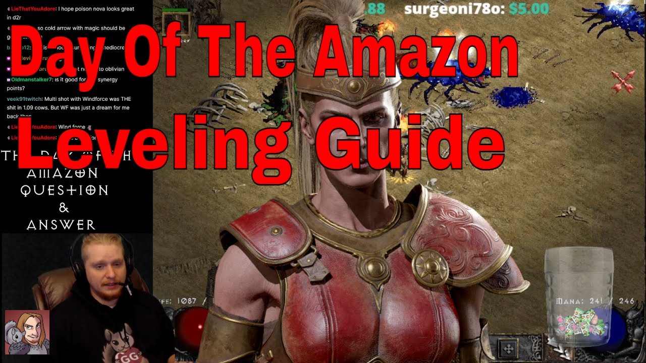 The Day of the Amazon - Question &amp; Answers (Leveling Guide For Diablo II Resurrected) - YouTube