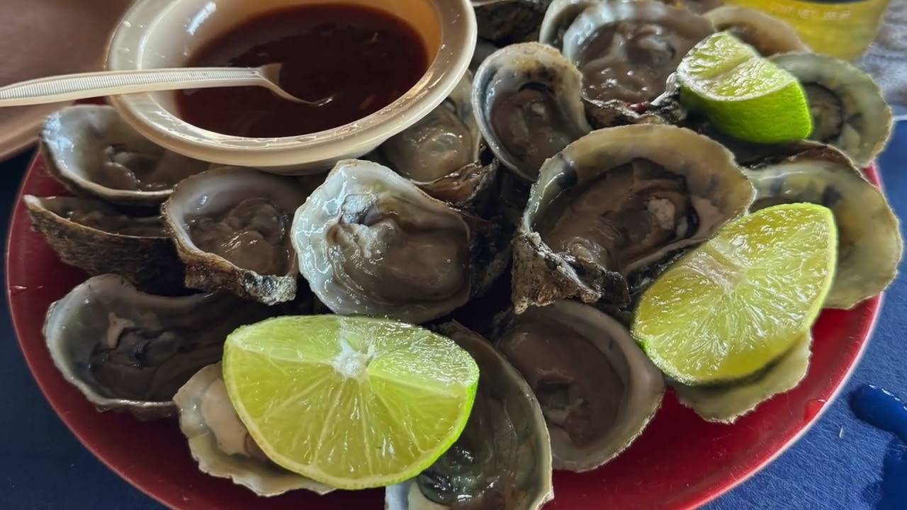 444 Lunch at El Muellecito in Las Barrilas, MEXICO 🇲🇽