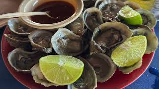 444 Lunch at El Muellecito in Las Barrilas, MEXICO 🇲🇽