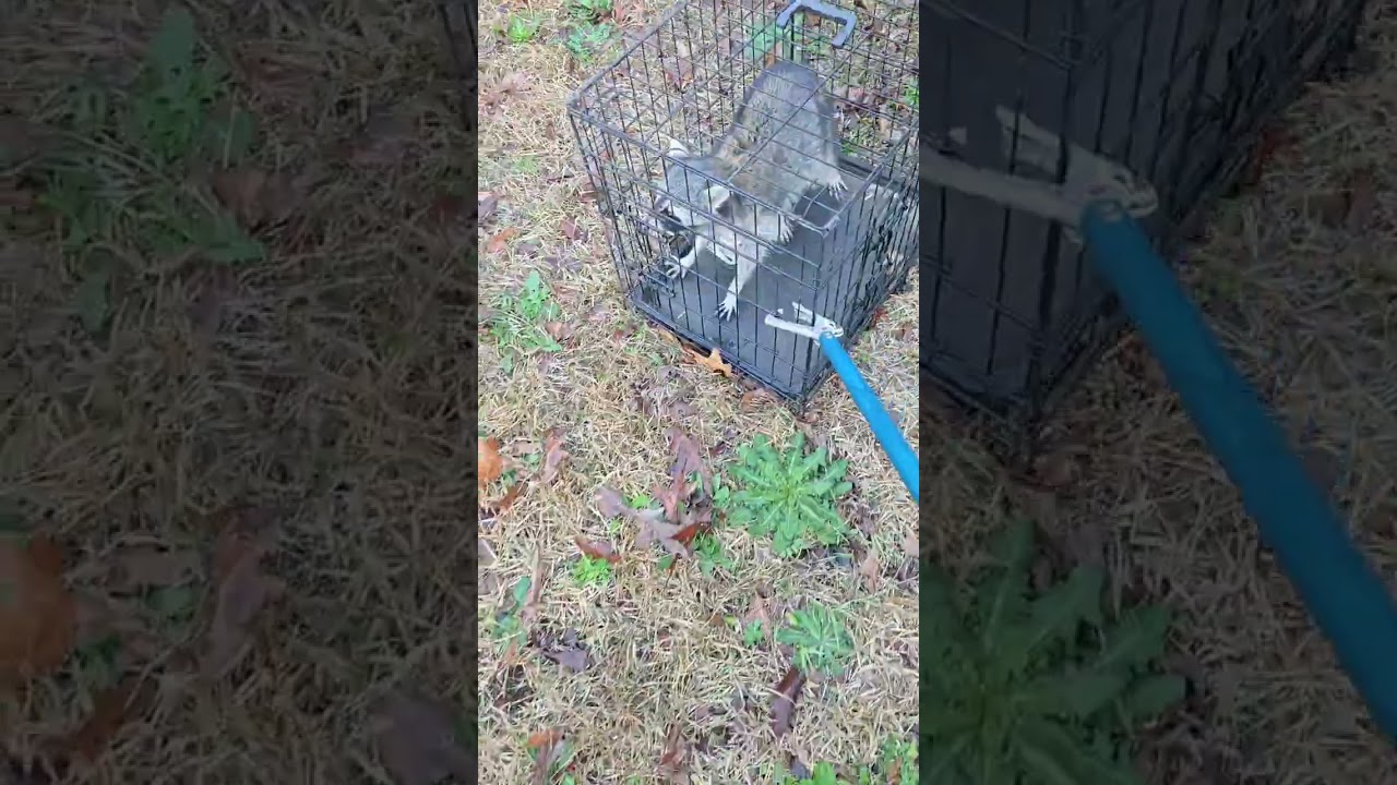 Unfortunately, I don't think this one is gonna be able to be saved...  ☠️