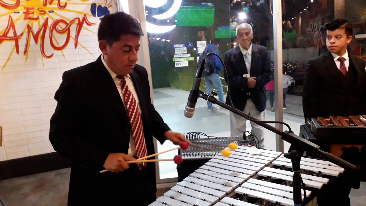 Marimba del Castillo Migdalia Azucena YouTube