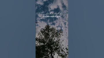 سورة سبأ الآية ٧