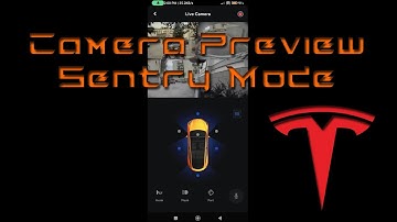 More Cameras in Live Camera View, Pillars added, for Tesla Model Y !