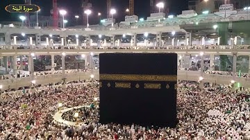 سورة البينة  ياسر سلامة