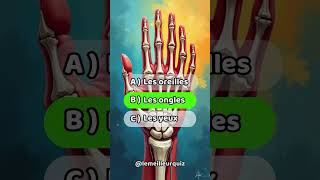 Quiz De Culture Générale. Seul Un Génie Aura 66 A Ce Quiz.