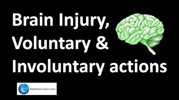 Brain Injury, Voluntary and Involuntary Actions | Body Coordination | Science
