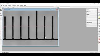 CapiScope: How to calibrate magnification