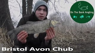 Bristol Avon Winter Chub Fishing