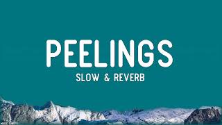 Peelings (Slow & Reverb) | Pushpa 2 The Rule | Javed Ali | Madhubanti Bagchi | Music Suno