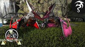 Double Perfect Alphas! - Ep8 - Ark Ragnarok Extinction Core!