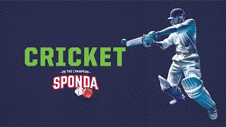 Sponda Games | How to Play: Cricket screenshot 5