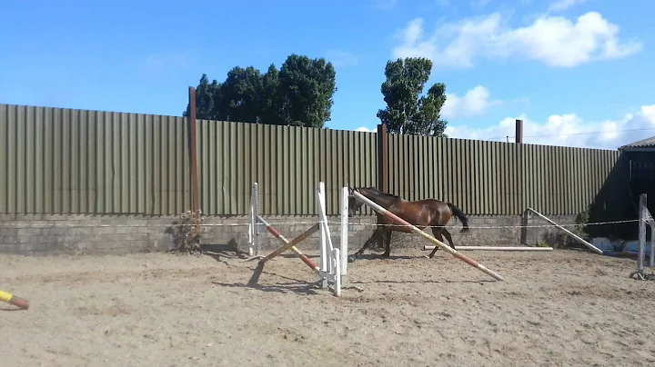 Roman Loose Jumping