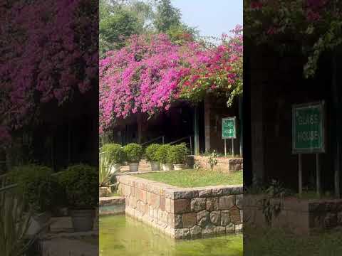 Lodhi Garden