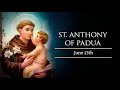 St antonys mass  feast of st antony