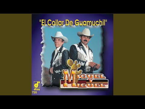 Watch the video for No le voy a rogar
