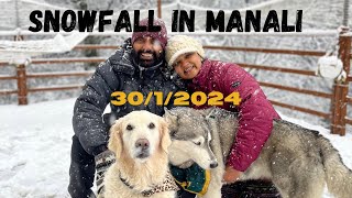Manali welcomed us with Snowfall🤩 | Himachal with Dogs by ChicAsh Adventures 676 views 3 months ago 15 minutes