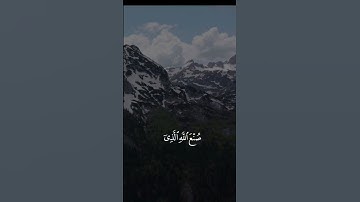 القرآن الكريم | سورة النمل - عبدالرحمن مسعد #اكسبلور #راحة_نفسية #لايك