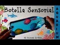 Botella Sensorial, Relax para niños, Cómo Reciclar Botellas de Plástico, Recicla botellas plasticas