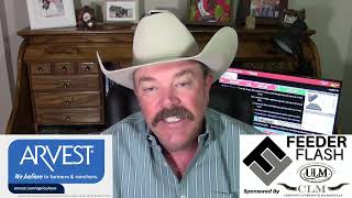 Feeder Flash 10/20:  Calf and Feeder Demand Strong