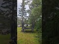 Yup. Its a flierpillar.