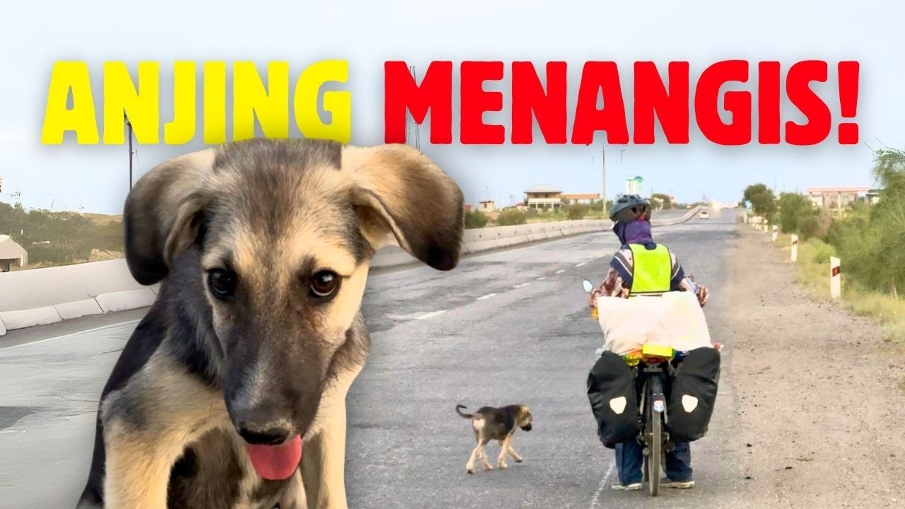 EP3 : SEDIHNYA.. Anjing Nak Ikut Travel.