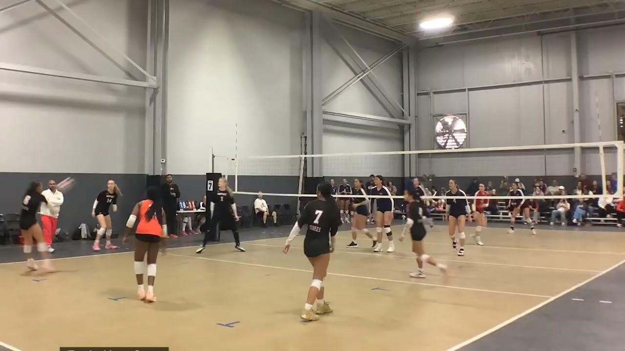 WPVC 14AO Tropical Ice 01-17-26 Highlights