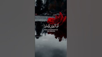 تلاوة عطرة من سورة العنكبوت للقارئ عبد الرحمن مسعود #عبد_الرحمن_مسعد #تلاوة_خاشعة #قرآن #أذكار