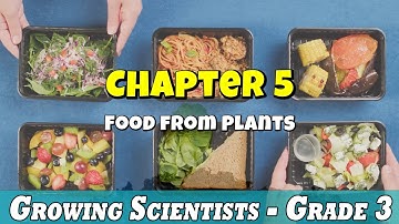Food from Plants - Chapter 05 | Science Class 03 | For Kids | Pax International