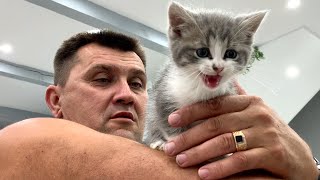 Dad, protect me!  Johnny's kitten met cat Street with dad