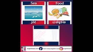 كلمات إنجليزية مركبة - Sea - Food - Seafood