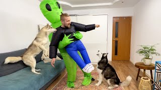 Funny Dogs Save Dad From Alien Abduction