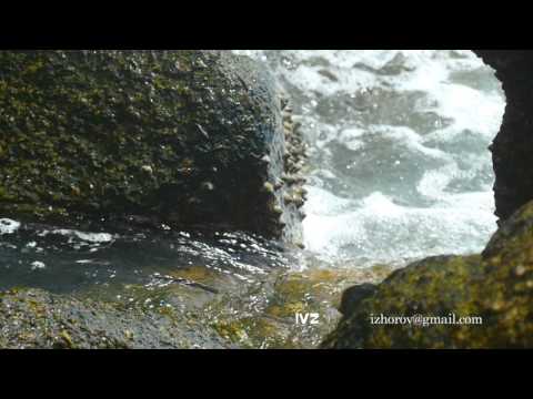 Waves rolled through coastal cliffs