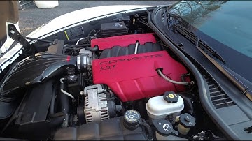 First Start Up of 2019 | Did the Mice Eat Any Wires?