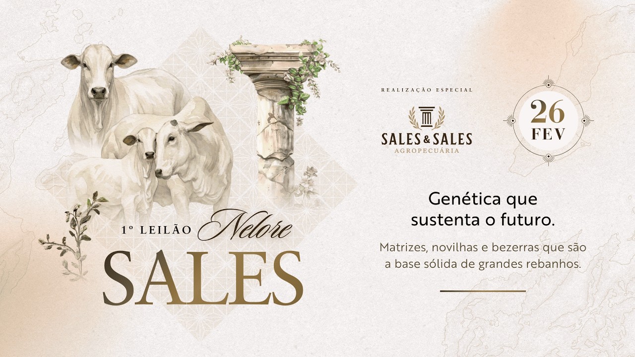 1º Leilão Nelore Sales