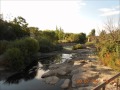 AVILA DEL REY, DE LOS LEALES Y DE LOS CABALLEROS.