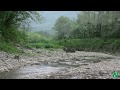 ASMR Nature Sounds Relaxing Video Therapy Горная река Вечер перед дождем