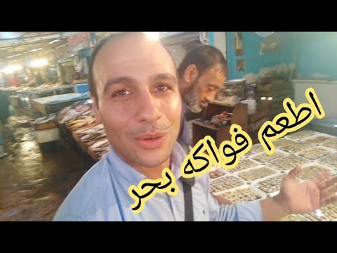 اغرب بحريات البحر الأحمر اللوجز والسريديا وطماطم البحر شوربة السي فود بفواكه البحر الفسفور العالي