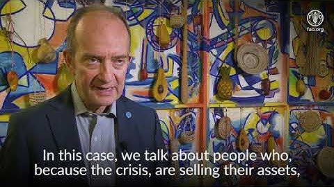 Acute hunger persists above 100 million for third year in a row, according to FAO’s report