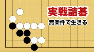 プロ棋士 柳澤理志の囲碁教室の年収 収入はいくら Youtube ユーチューブ