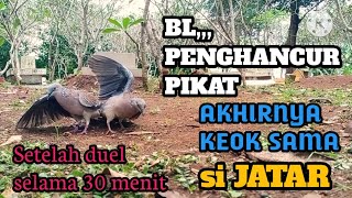 30 Mei 2025.BL,,Penghancur Pikat,akhirnya keok sama si JATAR.Setelah duel 30 menit