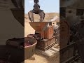 Komodo Dragon Meat Factory: You Won't Believe Your Eyes! 😱🏭