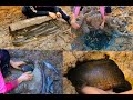 Tops 5 Video Fishing; Find And Catching Fish Of Girl On Dry Season