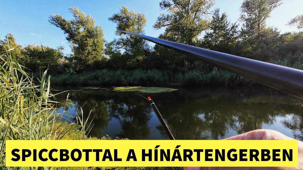 Spiccbotos horgászat a Duna - Tisza - Csatornán