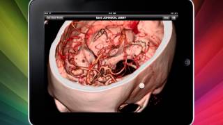 AppniqMD - Advanced Medical Imaging Radiology Software Wealth