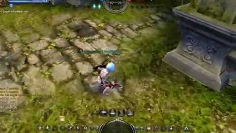 Dragon Nest Sea PVP Crusader vs Tempest
