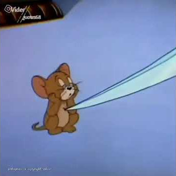 Story wa tom and jerry.