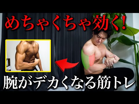 【ガチ効く】継続すれば確実に腕が太くなる筋トレ