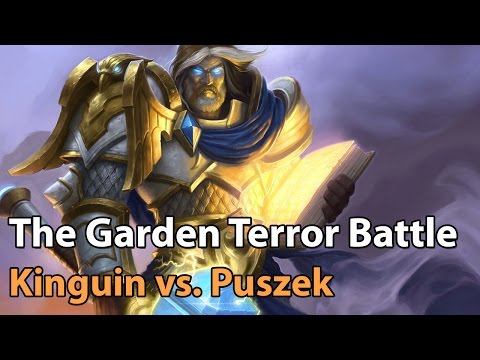 ► Heroes of the Storm Pro Gameplay: Kinguin vs. Puszek - Enter the Storm